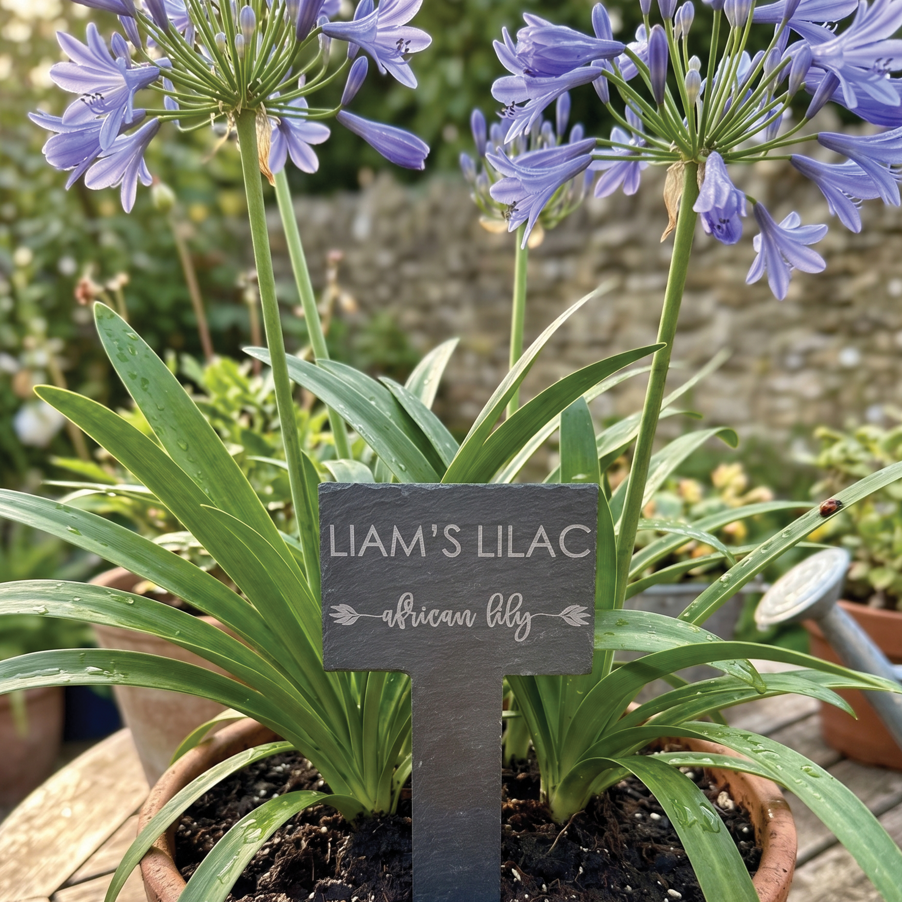 Garden Plant Marker